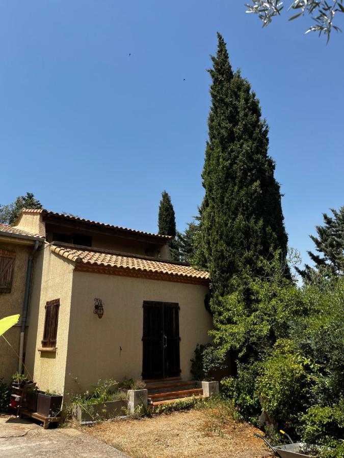 Le Mazet De Choubouloute Bed & Breakfast Saint-Gilles  Dış mekan fotoğraf