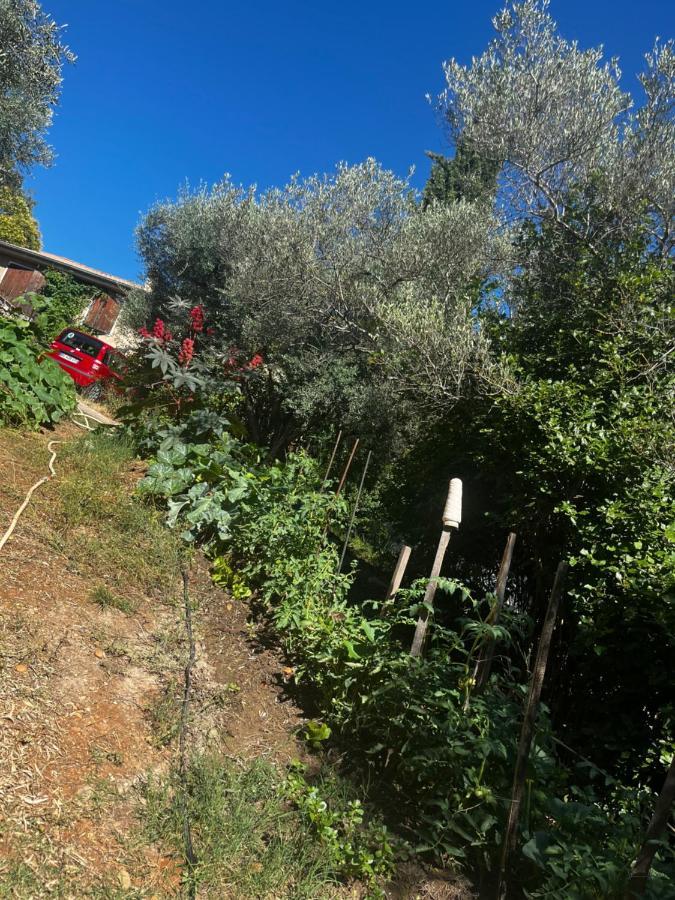 Le Mazet De Choubouloute Bed & Breakfast Saint-Gilles  Dış mekan fotoğraf